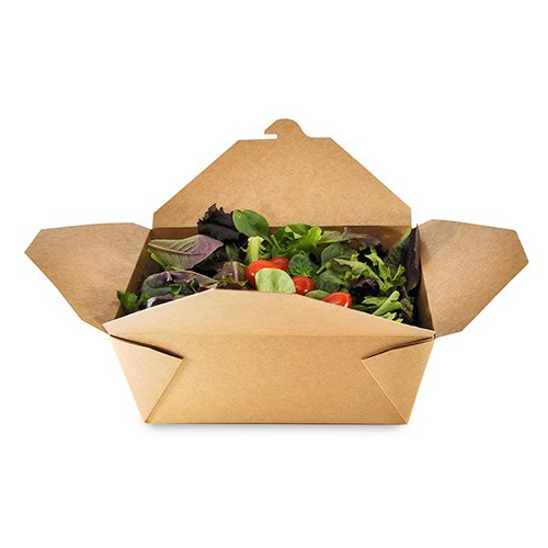 B-L1   160x ECODINE Folded Takeout Box #4