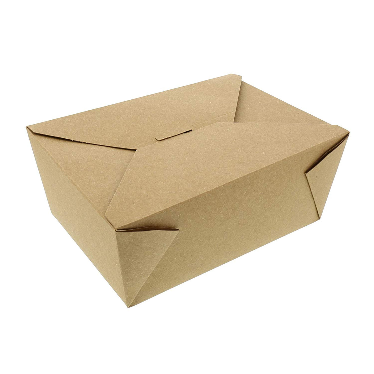 B-L1   160x ECODINE Folded Takeout Box #4