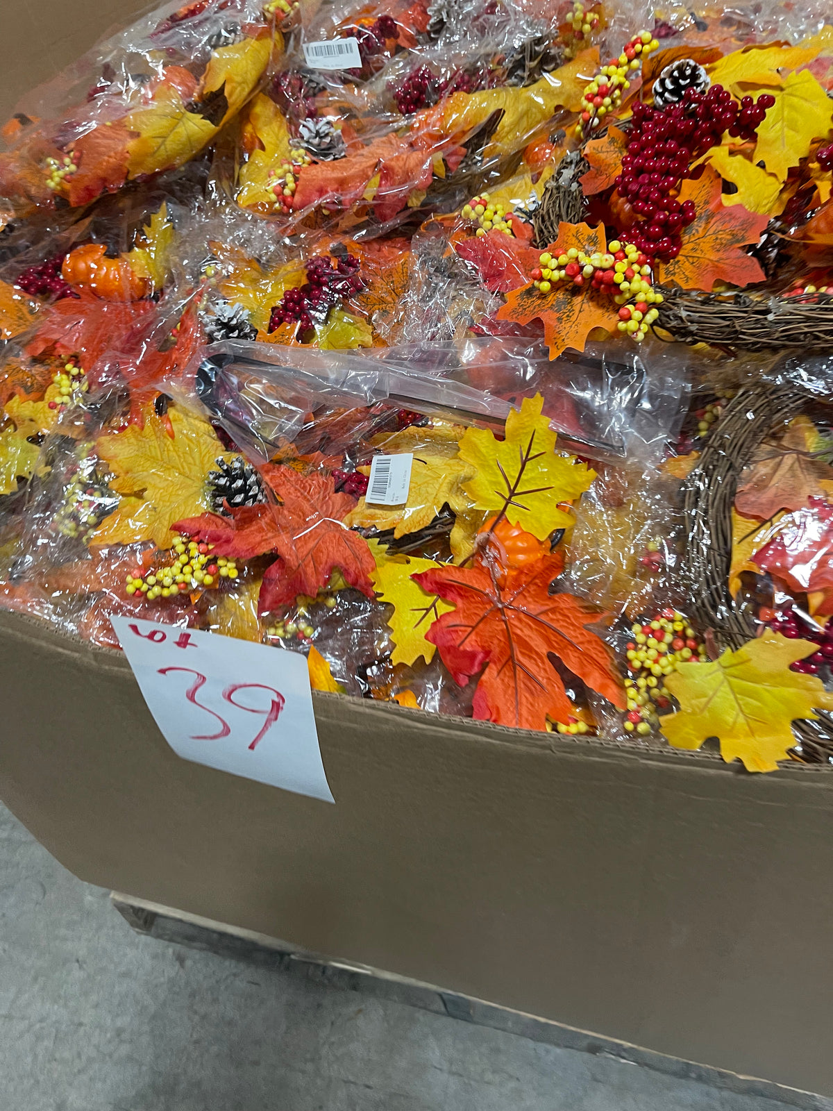 17a Lot #39 Gaylord Of Fall Themed Wreathes See Photos!